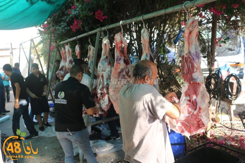 lod8om ada73y (85).JPG